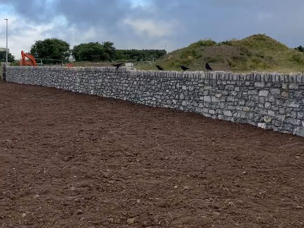 Long run of dry stone boundary walling with upright coping, M28 Ringaskiddy scheme, Co. Cork